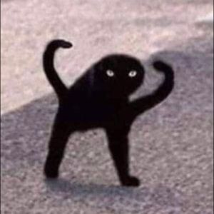 Meet your Posher, Zamantha